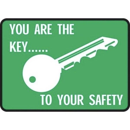 Accuform SAFETY SIGN SAFETY NEVER HURTS 10 X MGNF528VS MGNF528VS